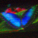 Illustration for article titled Holographic TVs Are Getting Closer To Reality